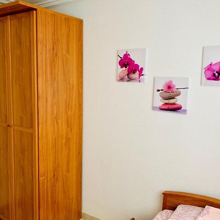 Apartamento Felix De La Fuente Торевьиа Экстерьер фото